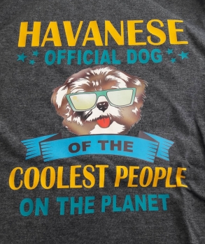 Motiv - Havaneser Cool